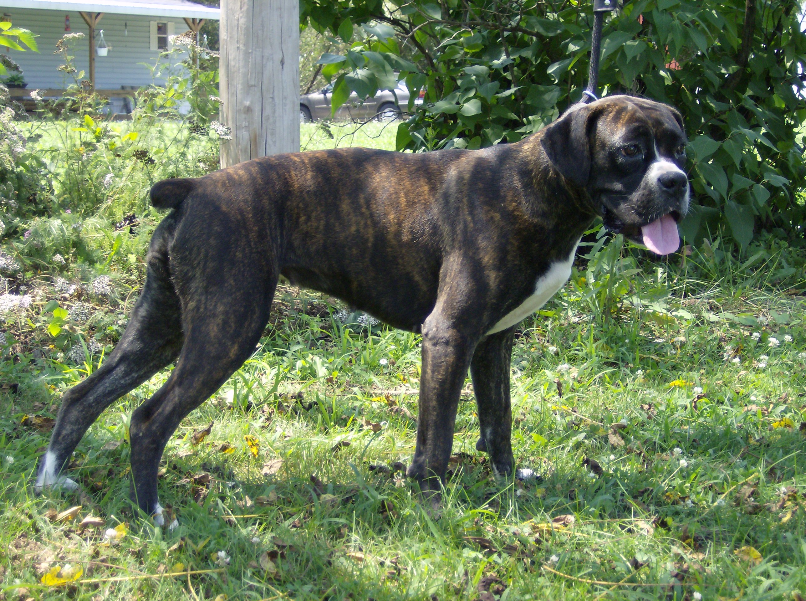 lilly057.jpg