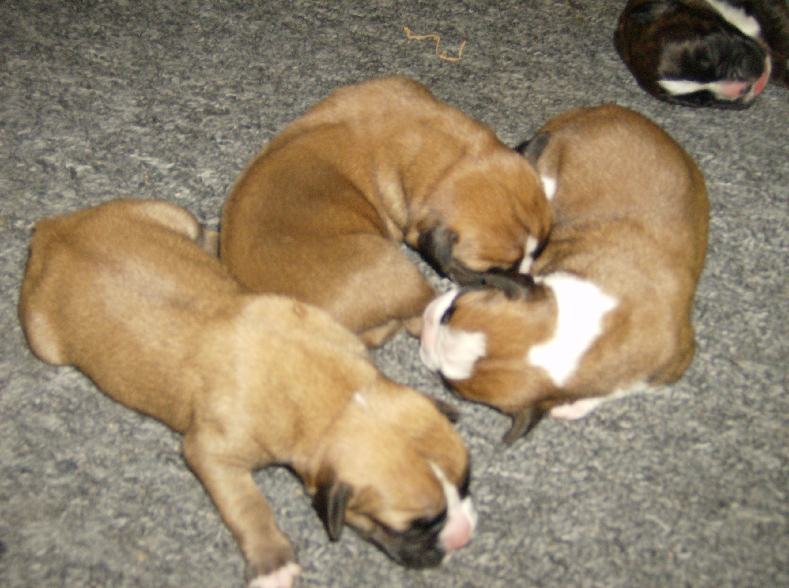 picture023.jpg